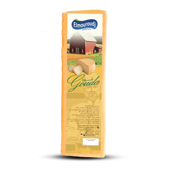 Gouda